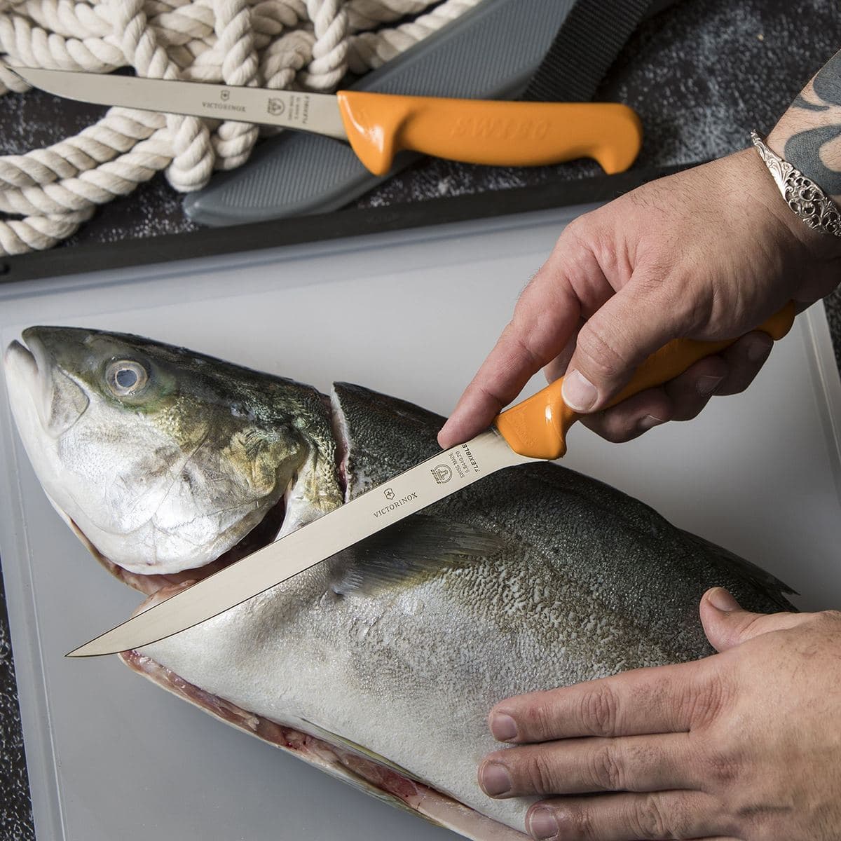 Filleting a fish with a Victorinox knife