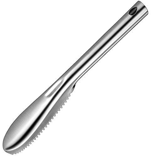 FISH SCALER S/STEEL - 235MM